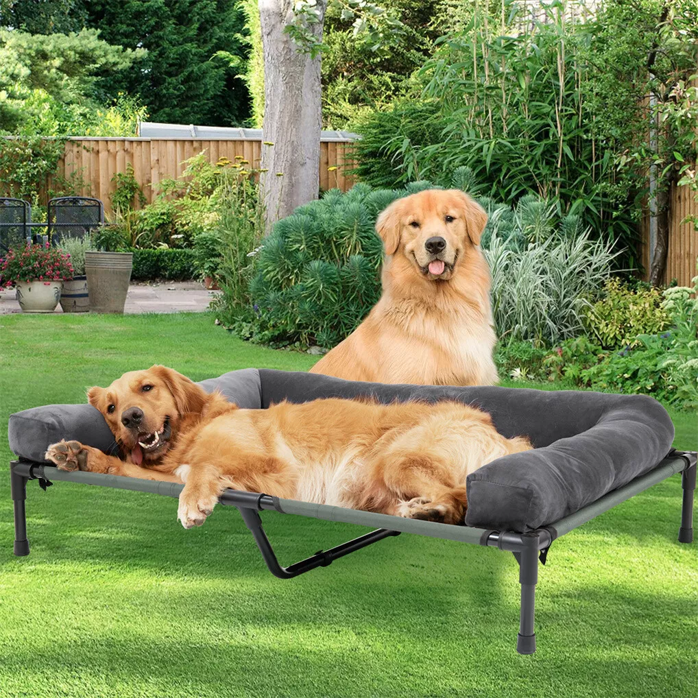 Cama Elevada para Cães BINGOPA - Bed Outdoor Camping avaliação e preço